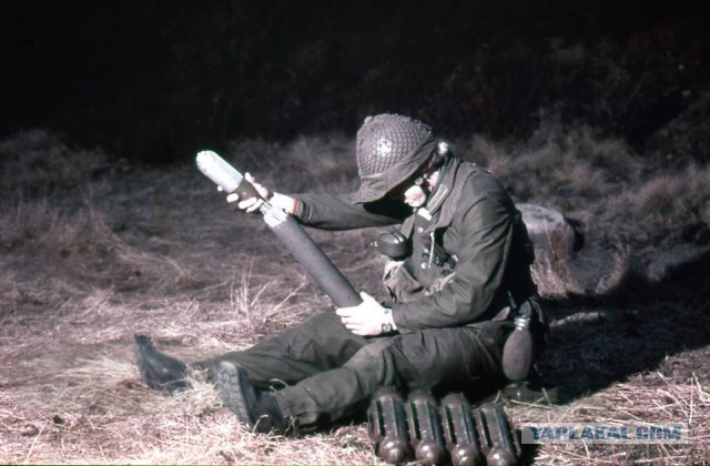 Шведская армия времен холодной войны