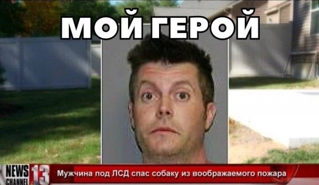 Прикольные картинки абавсём