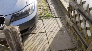 Попросил соседа парковаться так, чтобы я мог открыть калитку в сад
