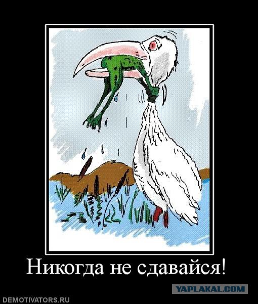 Плохих девочек любят больше: почему мужчины предпочитают стерв