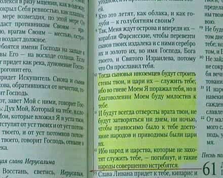 Совет по правам человека предложит отменить уголовную ответственность за оскорбление чувств верующих
