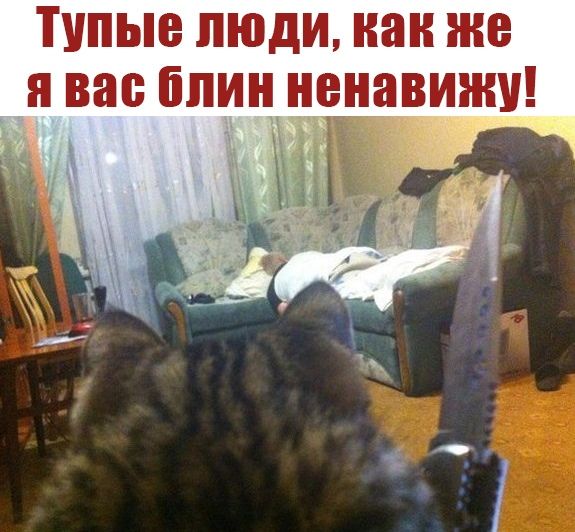 Странный юмор