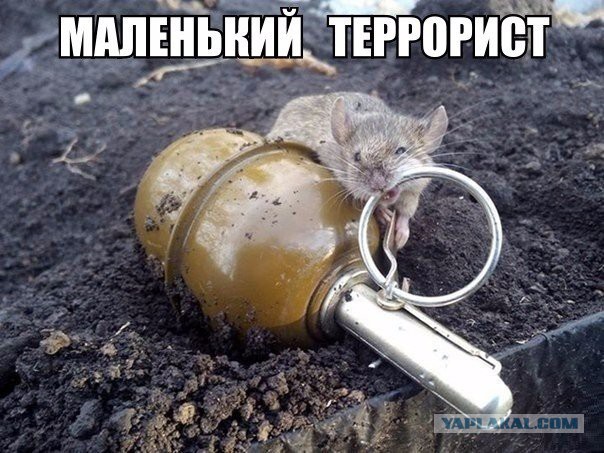 Не очень адекватный юмор