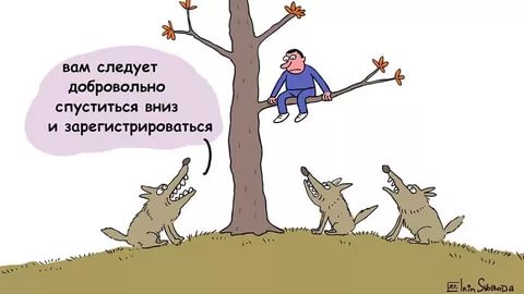 Госдума одобрила в первом чтении налог для самозанятых граждан: «Платить налоги неприятно, но надо»