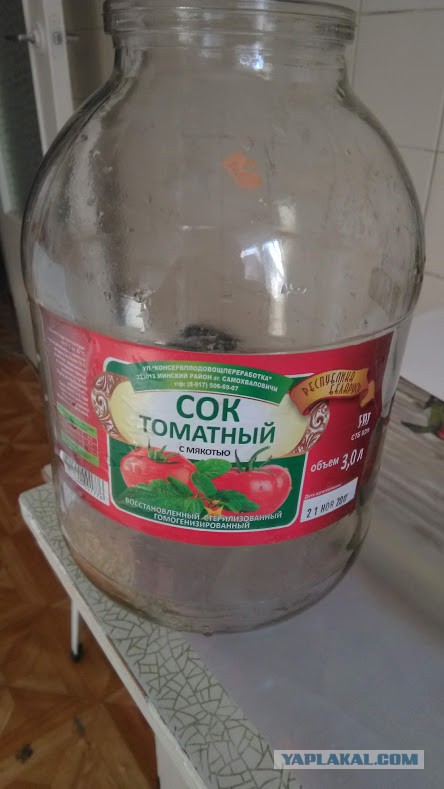 Брянское пиво