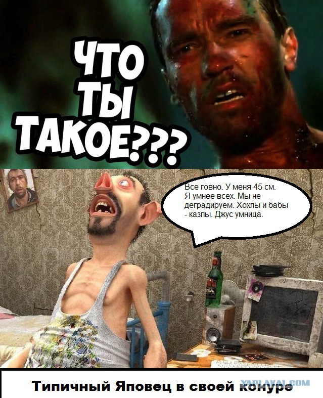 Шерстяные и весёлые