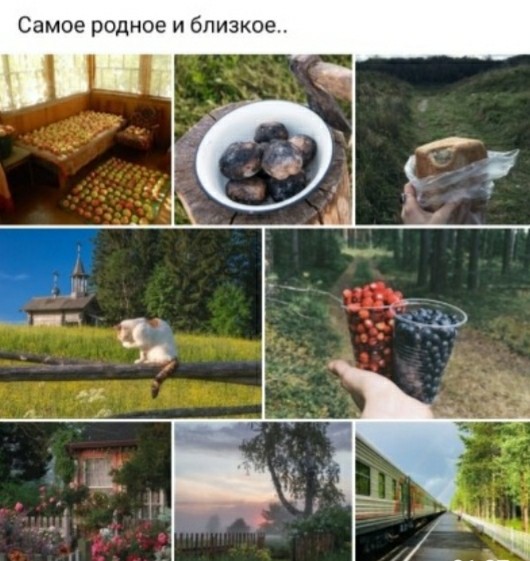 Подборка весёлых картинок