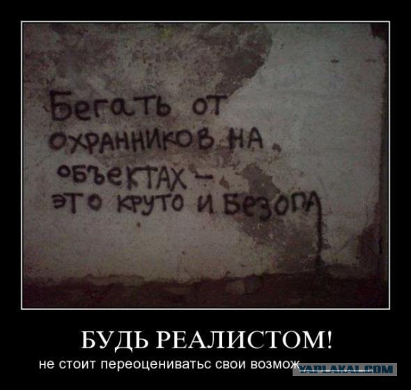 Асфальт, стены, заборы... Так пить или жить?