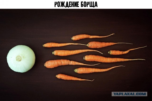 Сыр, груши и классовая ненависть