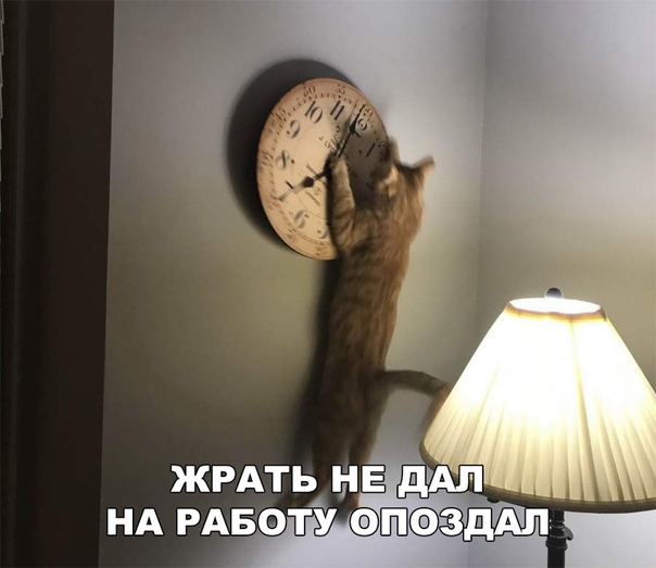 Чуток картинок!