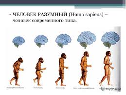 Робер-из-развалин, живописец