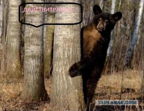 Специальный детский торт