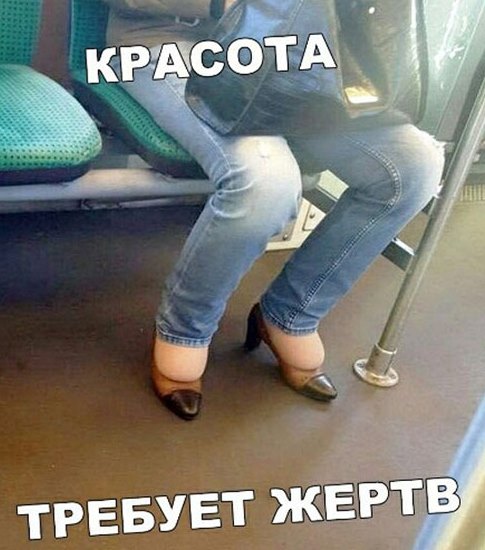 Скотсети и прочие интернеты 10.01.20