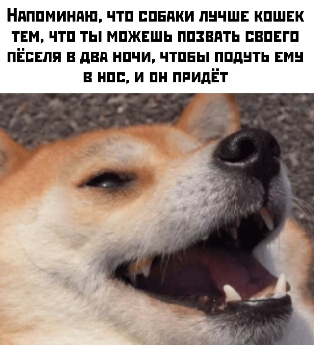 Картинки с надписями и без