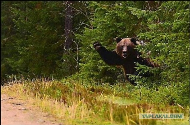 Немцов живее всех живых