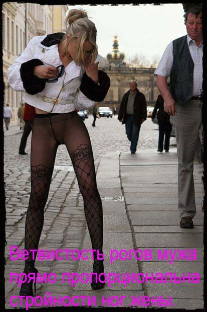 Умные мысли (108 штук)