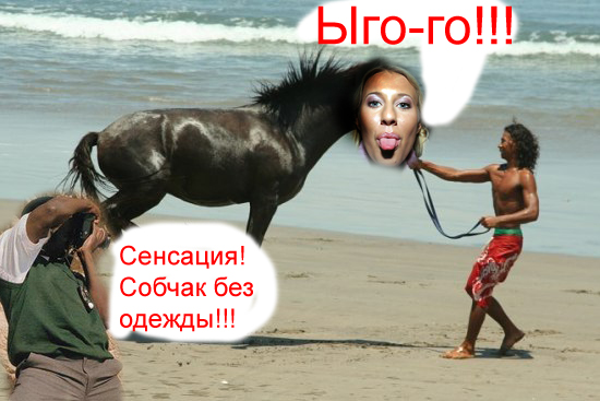 Фотожаба дня: Летающий конь
