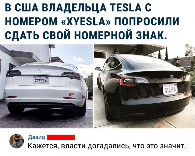 Где сегодня картинки?