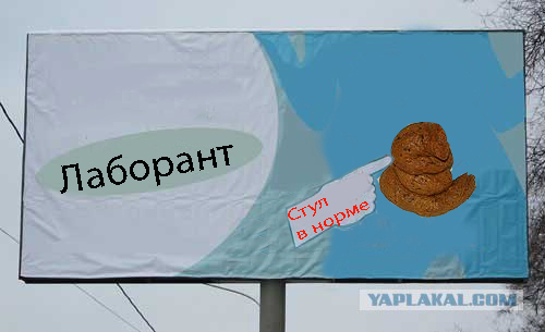 Орган работает! (8 фото)
