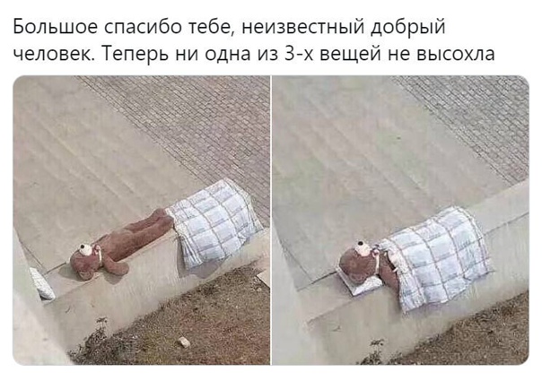 Юмор в картинках 30.11.20