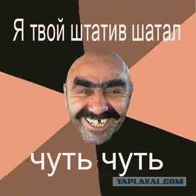 Фотожаба: Сто-о-о-ой!