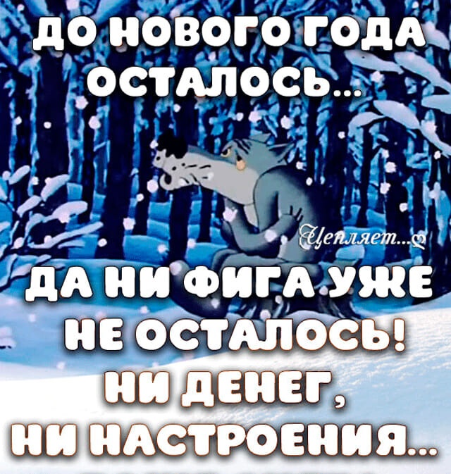 15075381.jpg