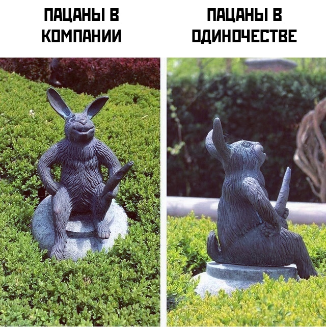 Картинки 11.02
