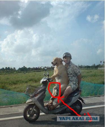 Стрельбы ЧВТКУ.