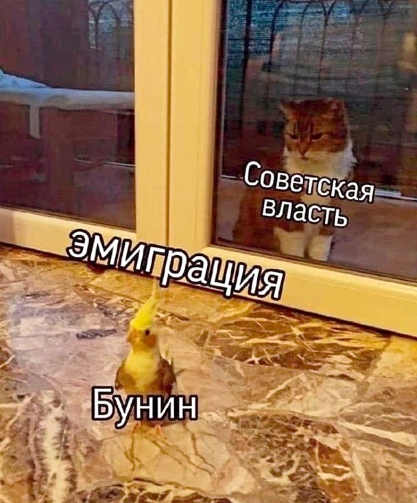 Аморальная деградация
