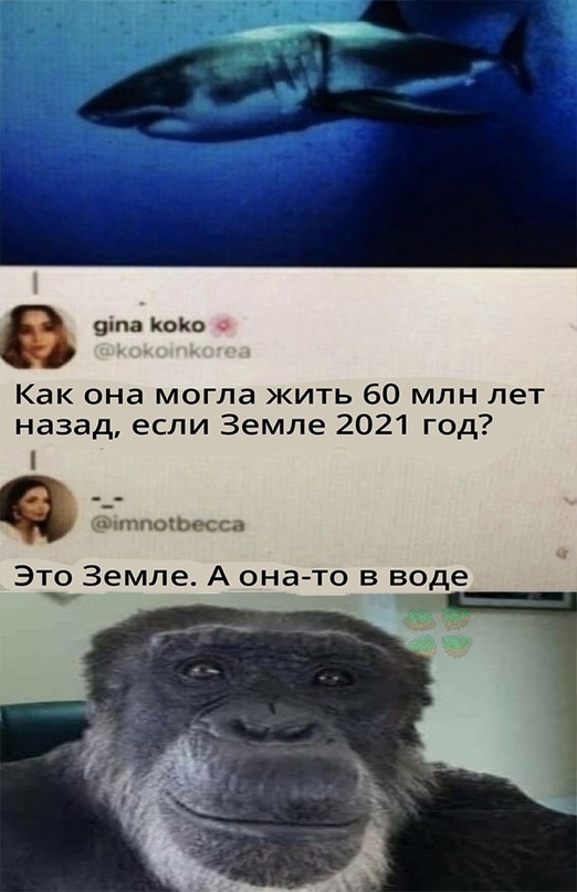 Весёлый полтишок 29.07