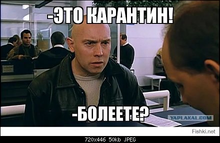Новгородская область первым из регионов объявила, что продлевает нерабочие дни