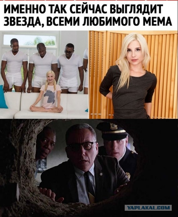 Так себе картинки 22.11.21