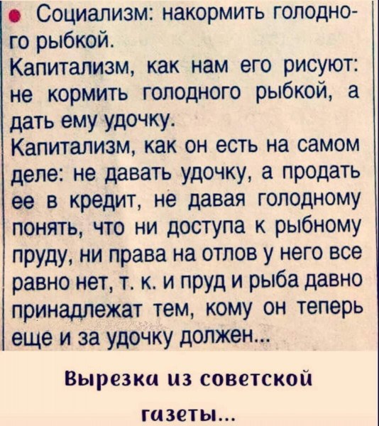 Всяческие картинки 24.11.2021