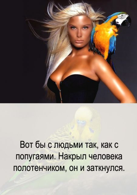 Картинки и буквы 03.03.22