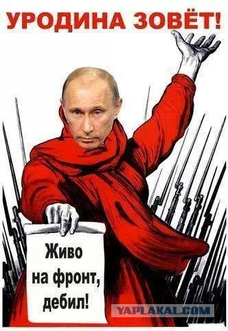 Путин согласился с предложением привлечь добровольцев на Украину
