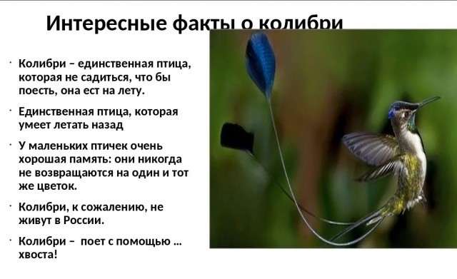 70 удивительных фактов
