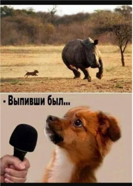 Так себе картинки 03.05.22