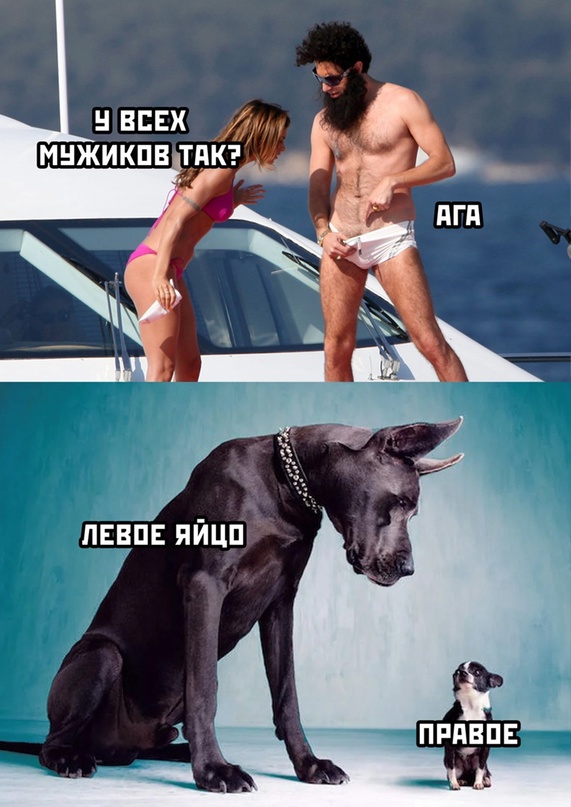 Картинки и мемы для настроения, выходные не за горами