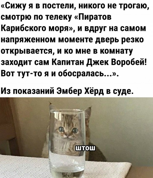 Финальное заседание суда между Джони Деппом и Эмбер Херд