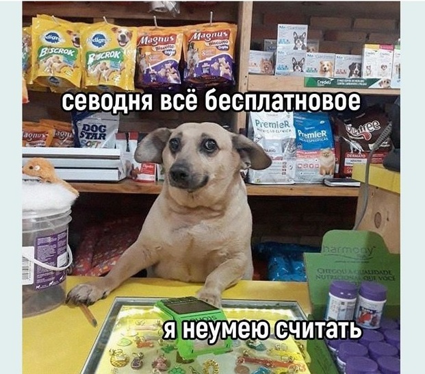 Забавные комментарии из социальных сетей (20.06.22)