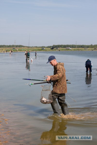 Утро на рыбалке.