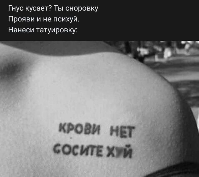 Немного юмора, гуманитарного - 5