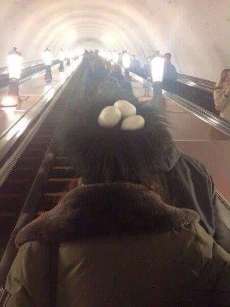 Модники из нашего метро на этот вторник