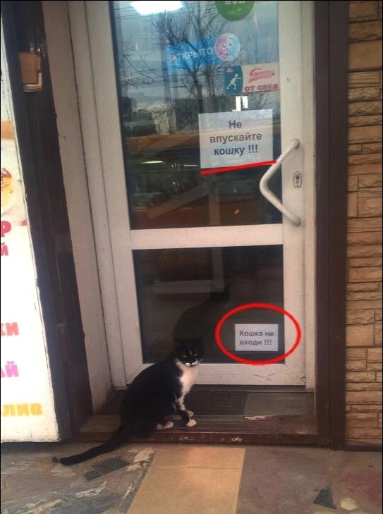 На заборе