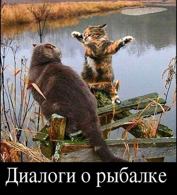 Картинки и мемы, всем хороших выходных