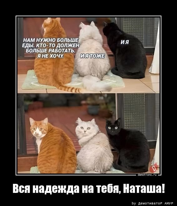 Прикольные и просто красивые картинки 17.02.2023