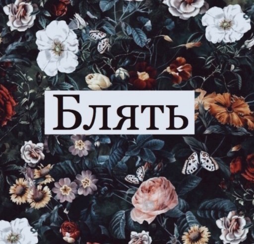 Нуштош 06.07.2023