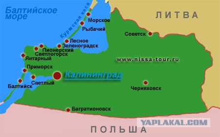 У здания суда в Баймаке начали задерживать протестующих