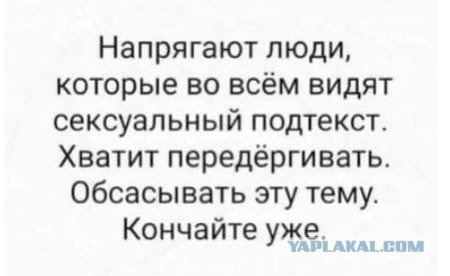 Преподаватель колледжа в Волгограде уволился из-за фоток своего кактуса в рабочем чате