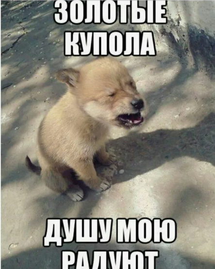Кольщик, наколи мне всё подряд